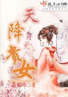 天降贵女封面