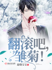 翻滚吧，雏菊！封面