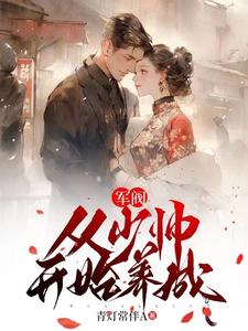 军阀：从少帅开始养成封面