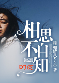 相思不自知封面