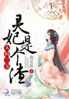 人间三宝：灵妃是个渣封面