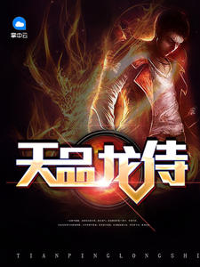 天品龙侍封面