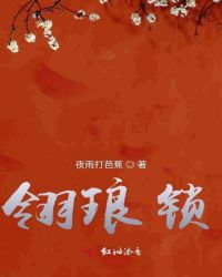 翎琅锁封面