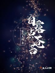 白露点苍苔封面