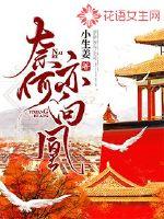 奈何亦向凰封面