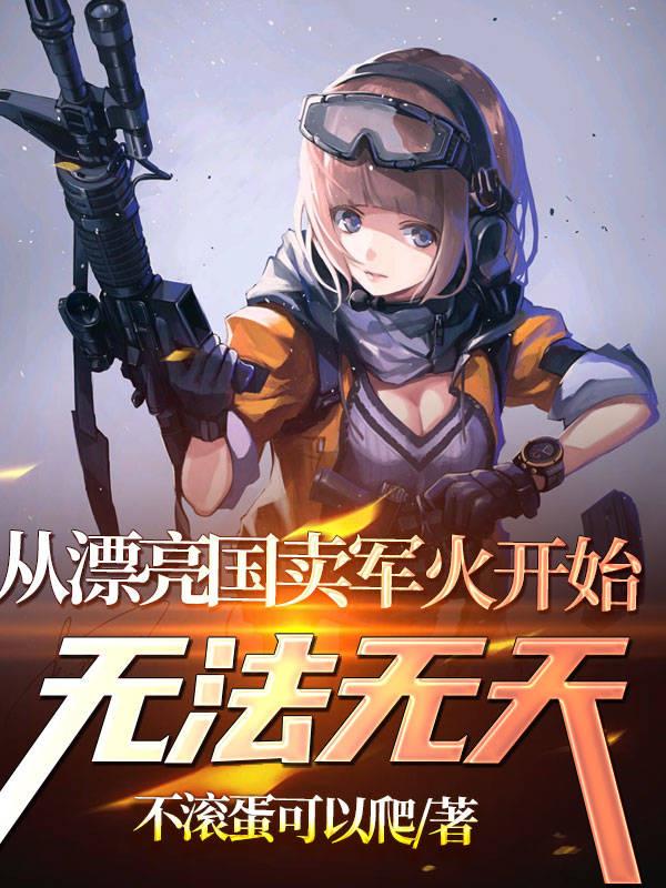 从漂亮国卖军火开始无法无天封面