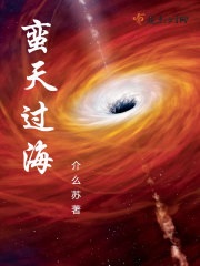 蛮天过海封面