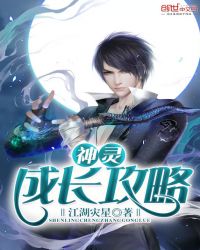 神灵成长攻略封面