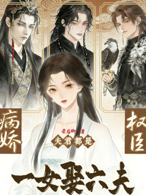 朕从不按套路出牌封面