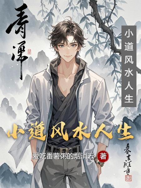 小道风水人生封面