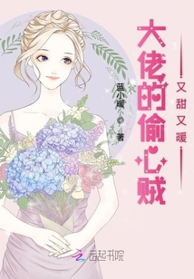 大佬的偷心贼又甜又暖封面