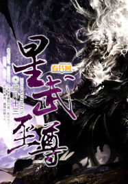 星武至尊封面