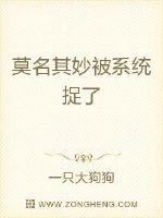 莫名其妙被系统捉了封面