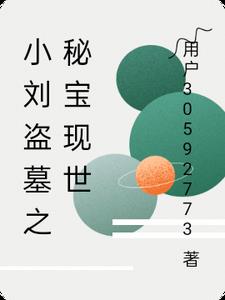 小刘盗墓之秘宝现世封面