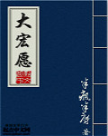 大宏愿封面