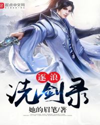 逐浪洗剑录封面