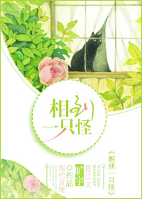 相到一只怪封面