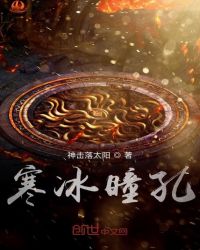 寒冰瞳孔封面