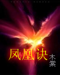 凤凰诀封面