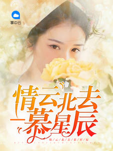 情云北去慕星辰封面