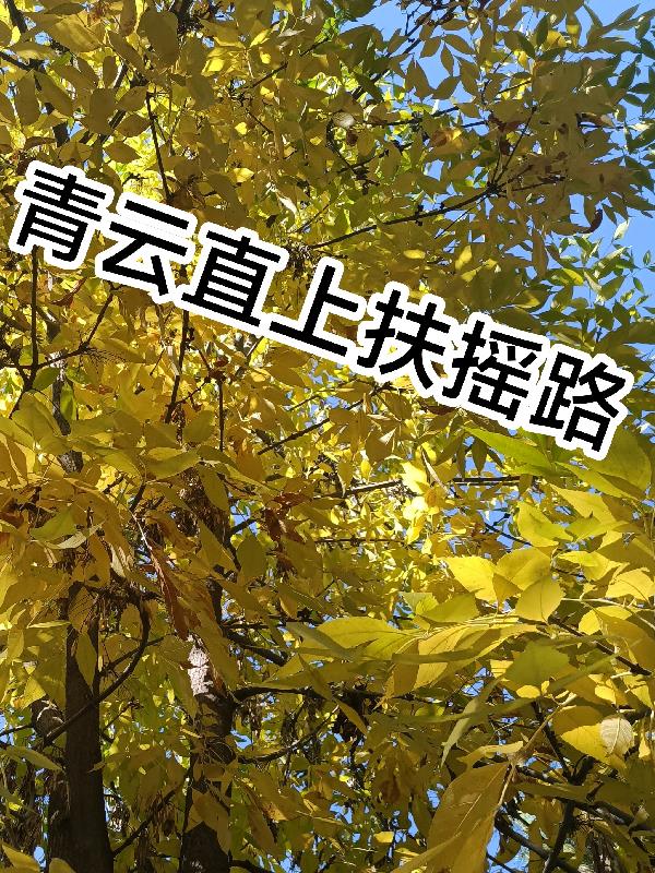 青云直上扶摇路封面