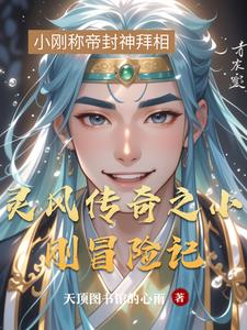 灵风传奇之小刚冒险记封面