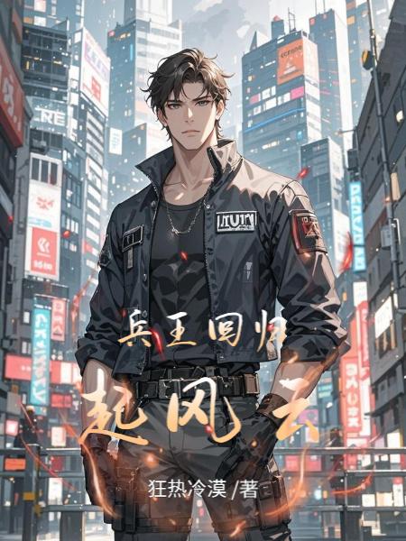 兵王回归起风云封面