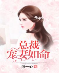 总裁宠妻如命封面