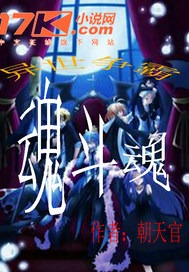 異世爭霸魂斗魂封面