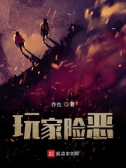 玩家险恶封面