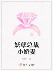 妖孽总裁小娇妻封面