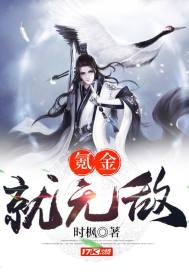 氪金就无敌封面