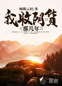 我收阴货那几年封面