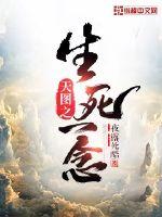 天图之生死一念封面