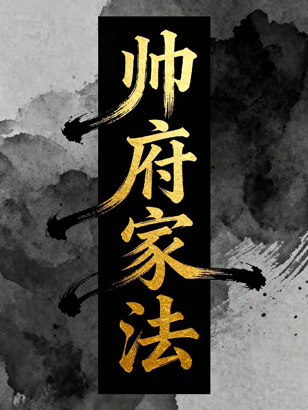 帅府家法封面
