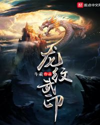 龙纹武印封面