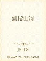 剑指山河封面