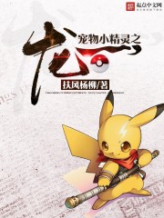 超级精灵之龙一封面