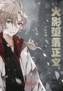 火影堕落正义封面