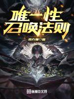 唯一性召唤法则封面