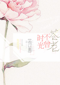 时光不曾苍老封面