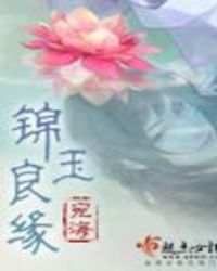 锦玉良缘封面