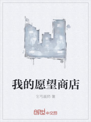 我的愿望商店封面