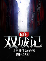 阴阳双城记封面