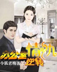 办公室情仇：逆转封面