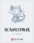 你为何召唤我封面