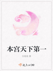 本宫天下第一封面