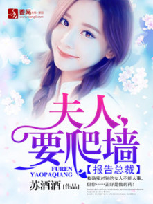 报告总裁：夫人要爬墙封面