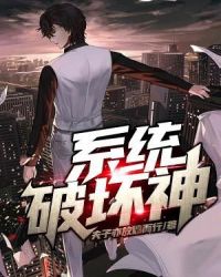 系统破坏神封面