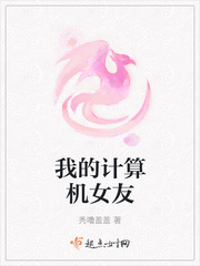 我的计算机女友封面